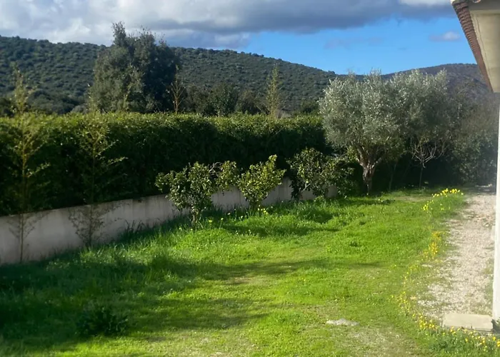 Proche De St Florent Corse